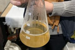 Sweet liquid called "wort", this comes directly from hot water that has been filtered through malted barley.