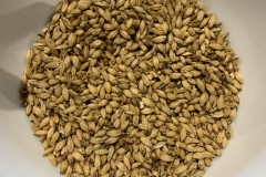 Pale Ale Malt